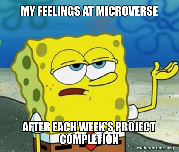Tough Spongebob (I'll have you know) meme