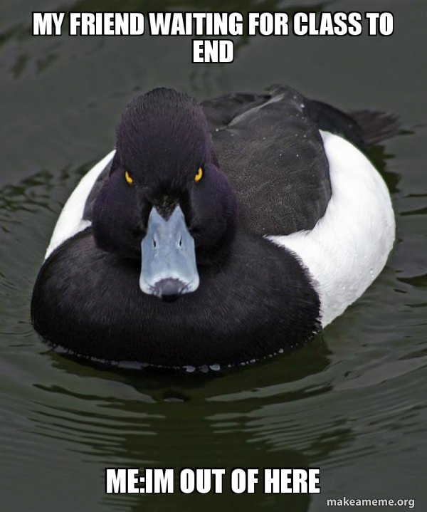 Revenge Duck ( Angry Advice Duck ) meme