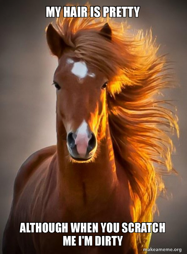 Ridiculously photogenic horse meme