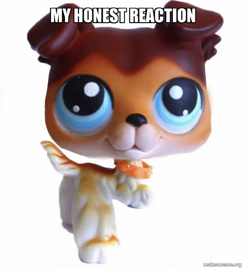 MY HONEST reaction Meme Generator