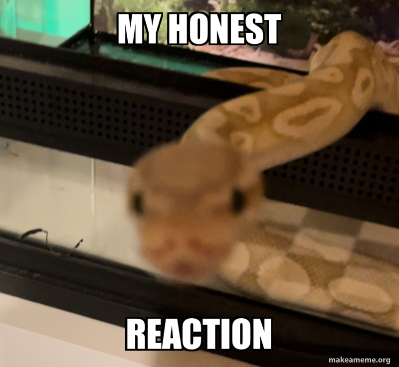 MY HONEST REACTION Meme Generator