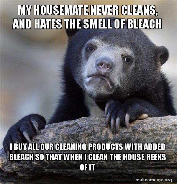 My housemate never cleans, and hates the smell of bleach I buy all our