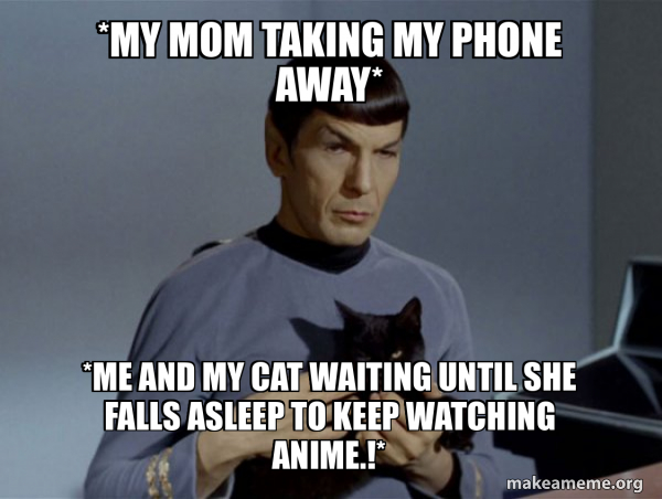 Spock and Cat Meme meme