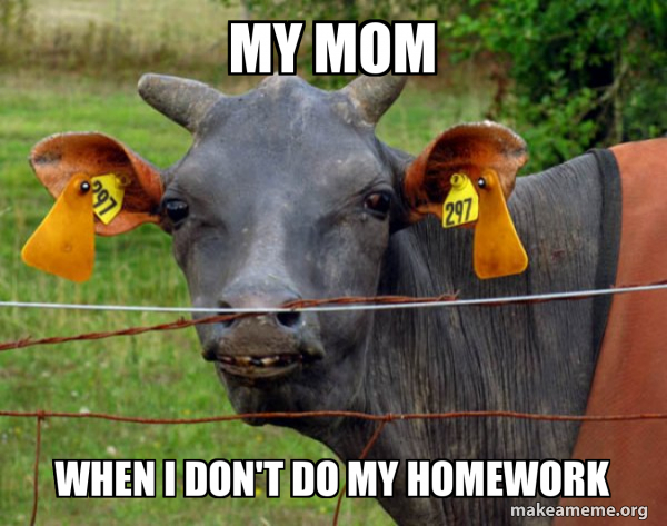 Hairless Cow meme