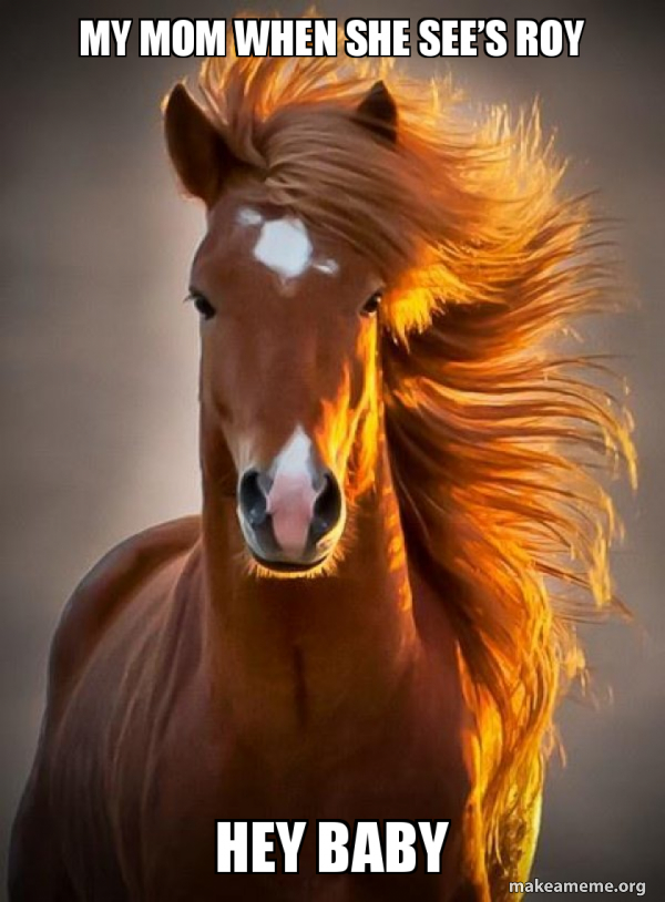 Ridiculously photogenic horse meme