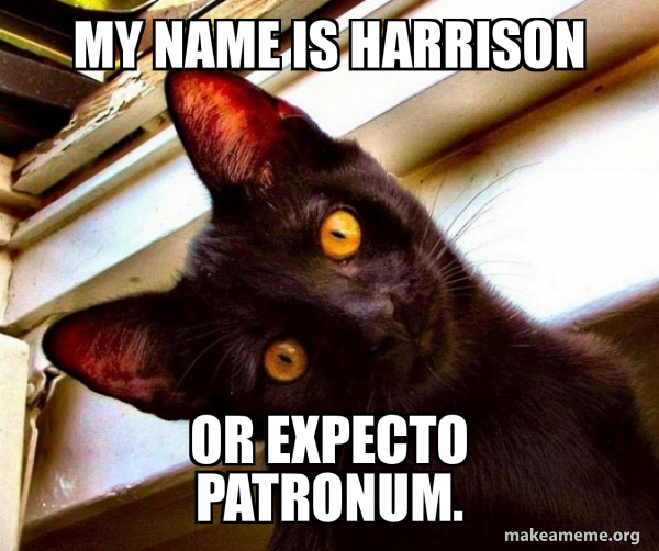 My name is Harrison Or Expecto Patronum. Overly Attached Cat Meme