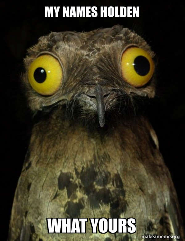 Weird Stuff I do Potoo meme