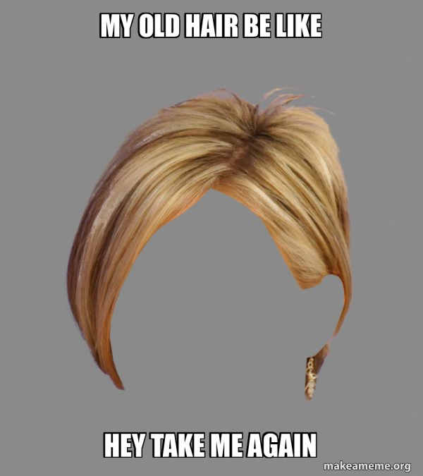My old hair be like Hey take me again The Karen Hair Make a Meme