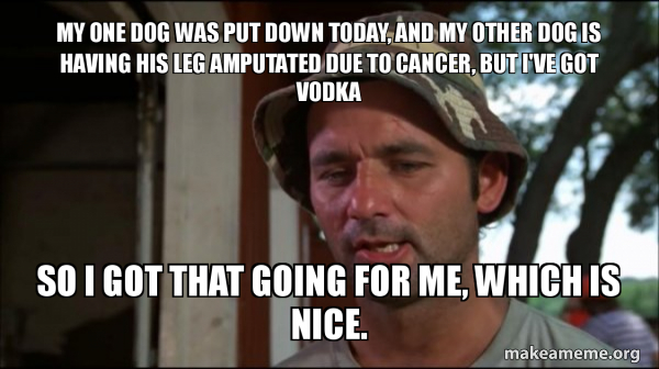 Bill Murry Caddyshack (So I got that going for me) meme