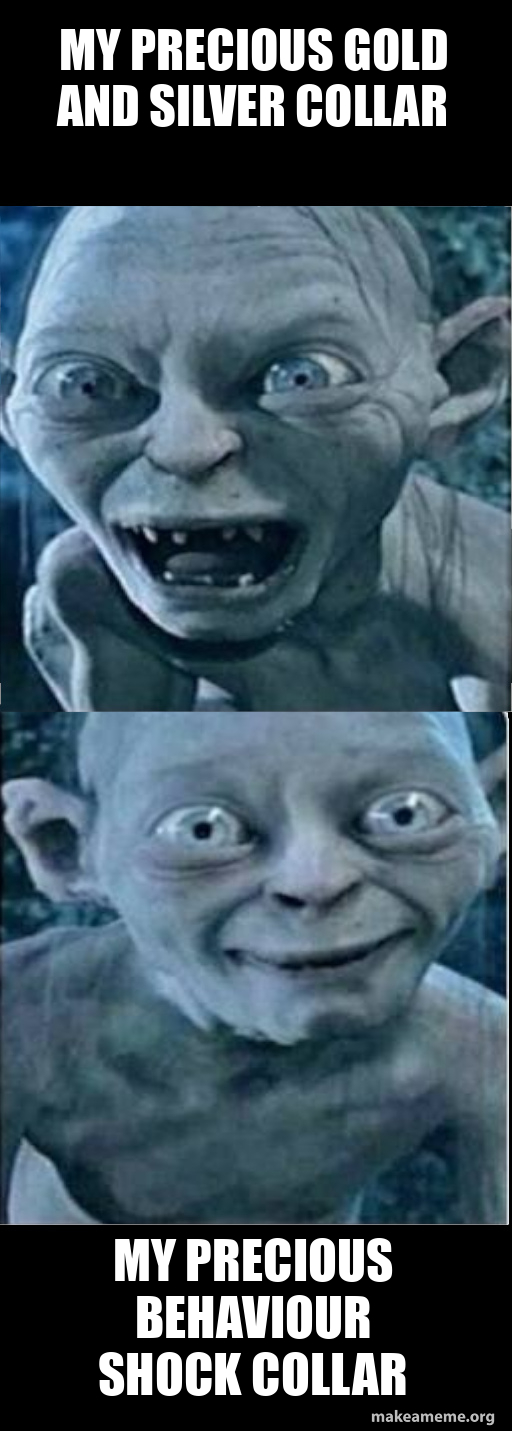 MY PRECIOUS GOLD AND SILVER COLLAR MY PRECIOUS BEHAVIOUR SHOCK COLLAR