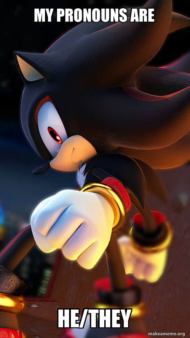 MY PRONOUNS ARE HE/THEY Meme Generator