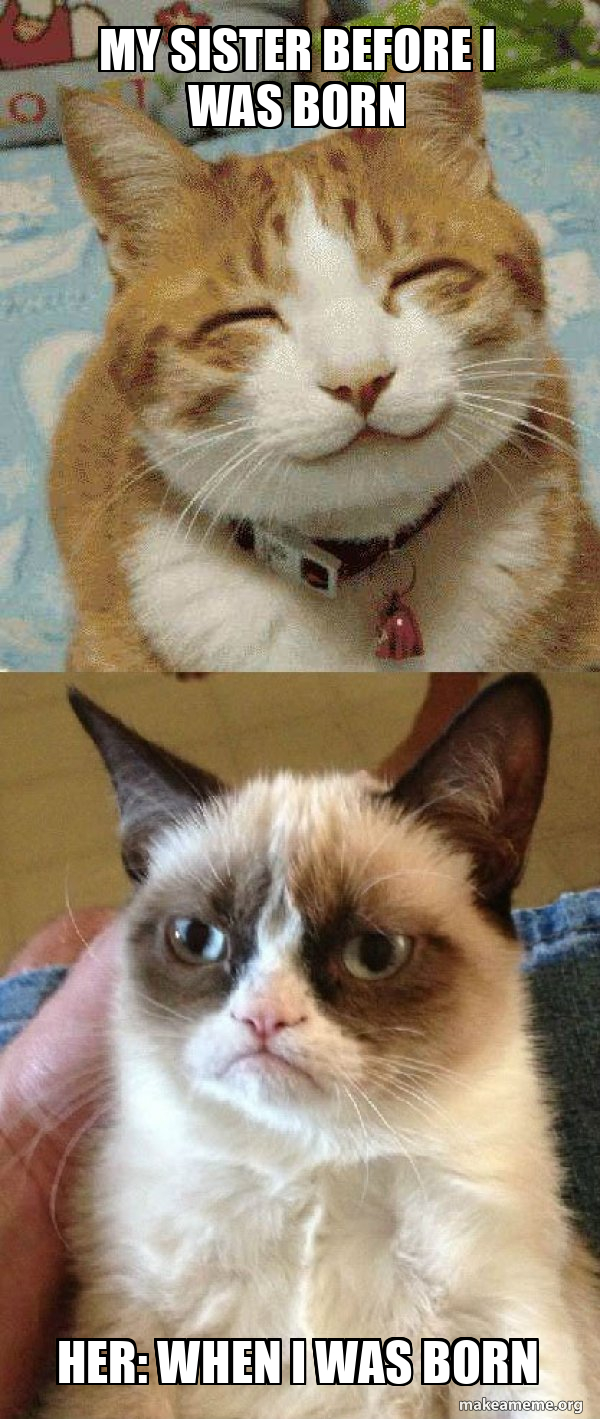 Grumpy Cat vs Happy Cat meme