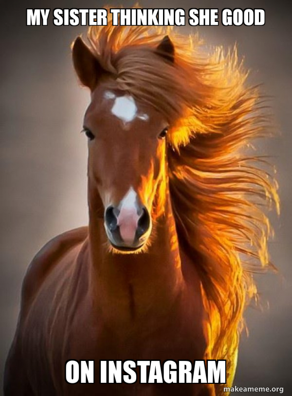 Ridiculously photogenic horse meme