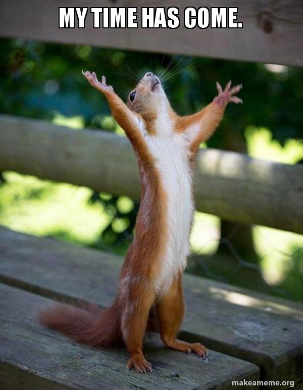 My Time Has Come Happy Squirrel Make A Meme