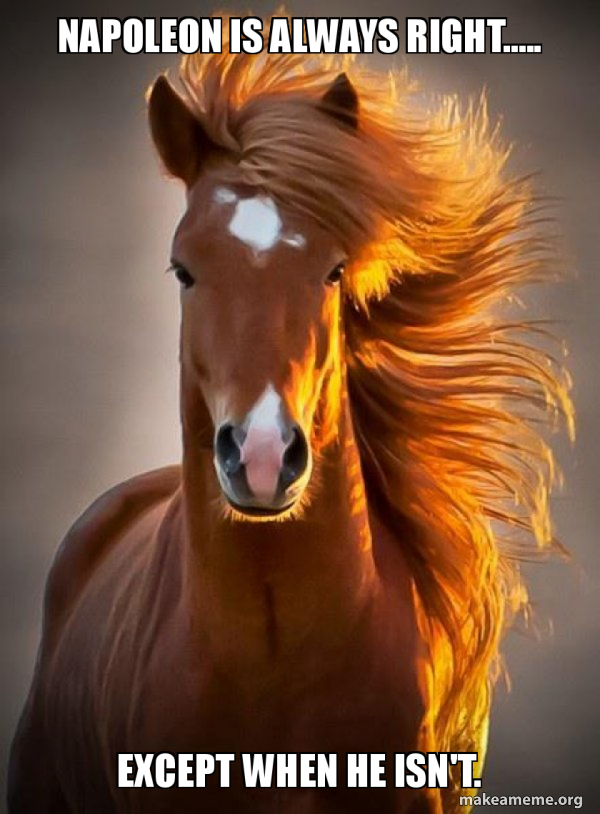 Ridiculously photogenic horse meme