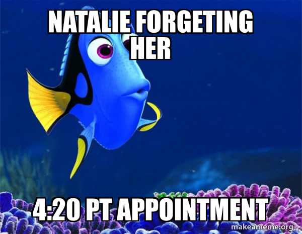 Dory from Nemo (5 second memory) meme