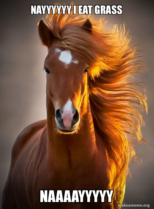 Ridiculously photogenic horse meme