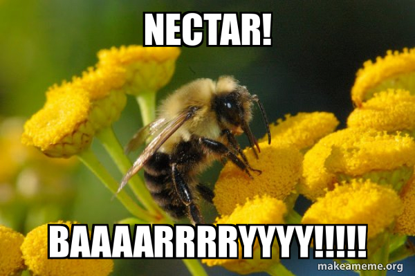 Good Guy Bee meme