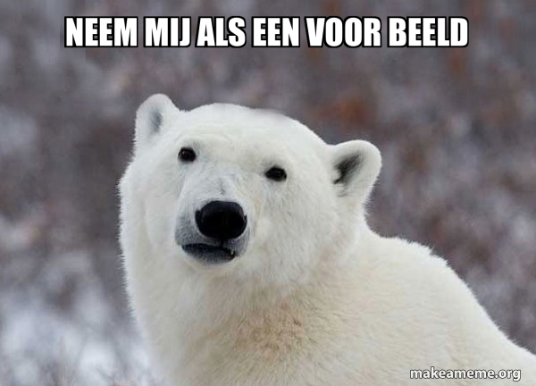 Popular Opinion Polar Bear meme