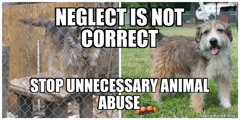 Neglect is NOT correct Stop UNNECESSARY animal Abuse - animal abuse ...
