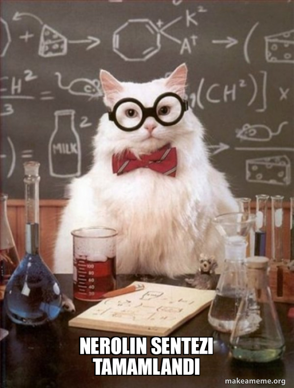 Chemistry Cat meme