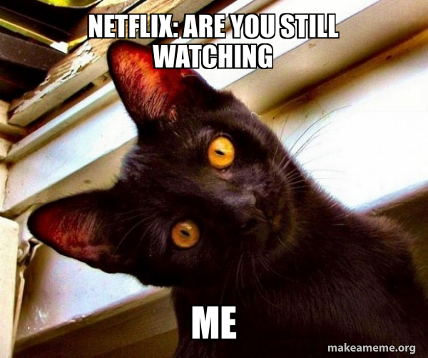 Netflix are you still watching Me Overly Attached Cat Meme Generator