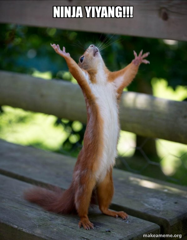 Happy Squirrel meme