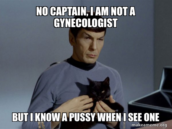 Spock and Cat Meme meme