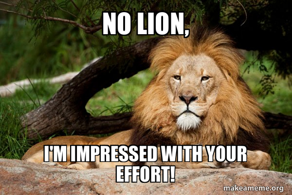 Contemplative Lion meme