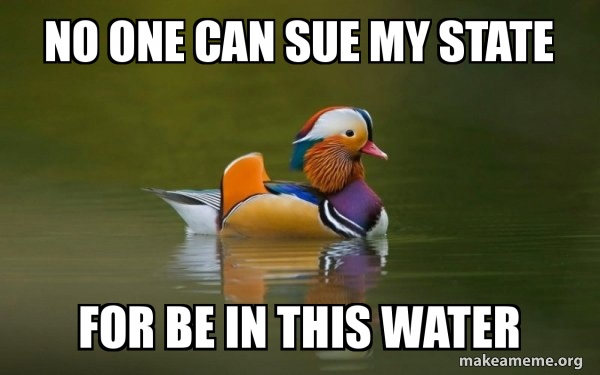 Fashionable Advice Mallard meme