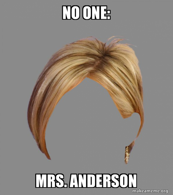 The Karen Hair meme