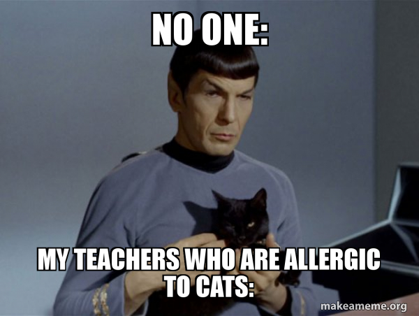Spock and Cat Meme meme