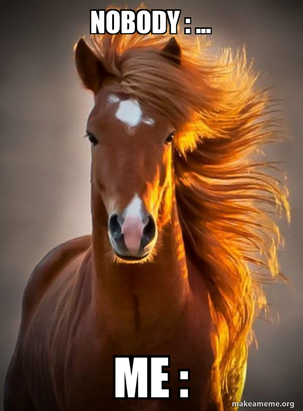 Ridiculously photogenic horse meme