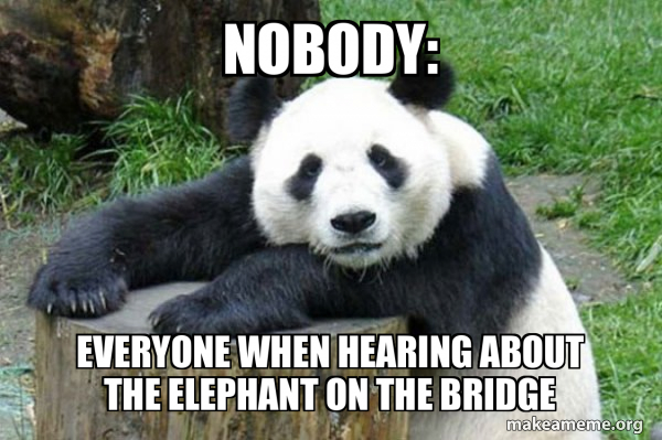 Confession Panda meme