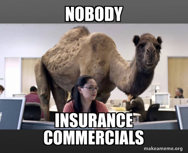 Hump Day Camel meme