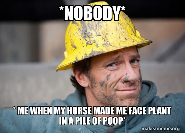 A Dirty Job meme