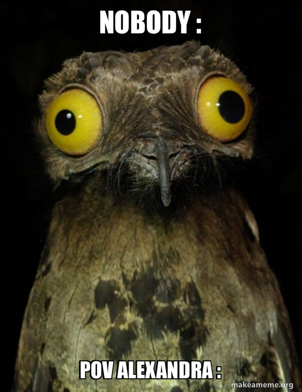Nobody Pov Alexandra Weird Stuff I Do Potoo Meme Generator
