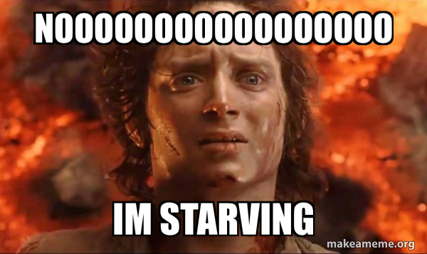 nooooooooooooooooo-im-starving-frodo-it-s-over-it-s-done-meme-generator