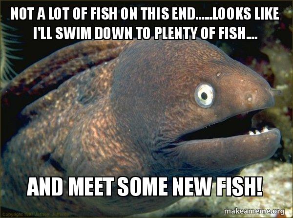 not a lot of fish on this end looks like i ll swim down to