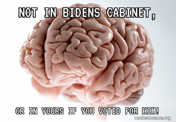 Scumbag Brain meme