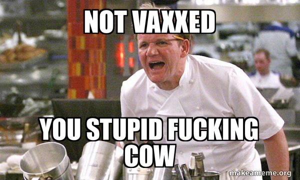 Gordon Ramsay Hell's Kitchen meme