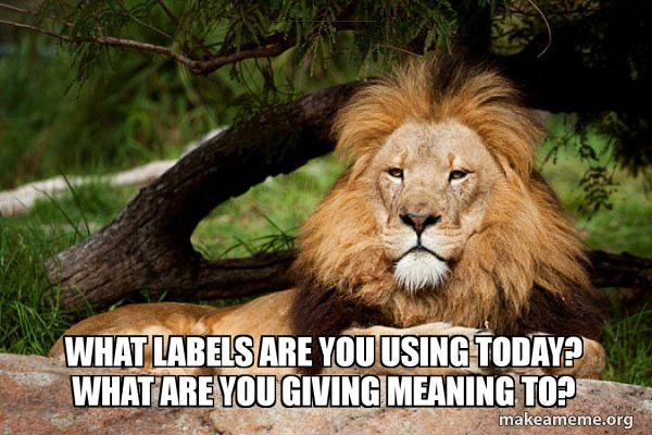 Contemplative Lion meme