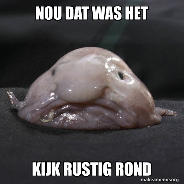 Blobfish meme
