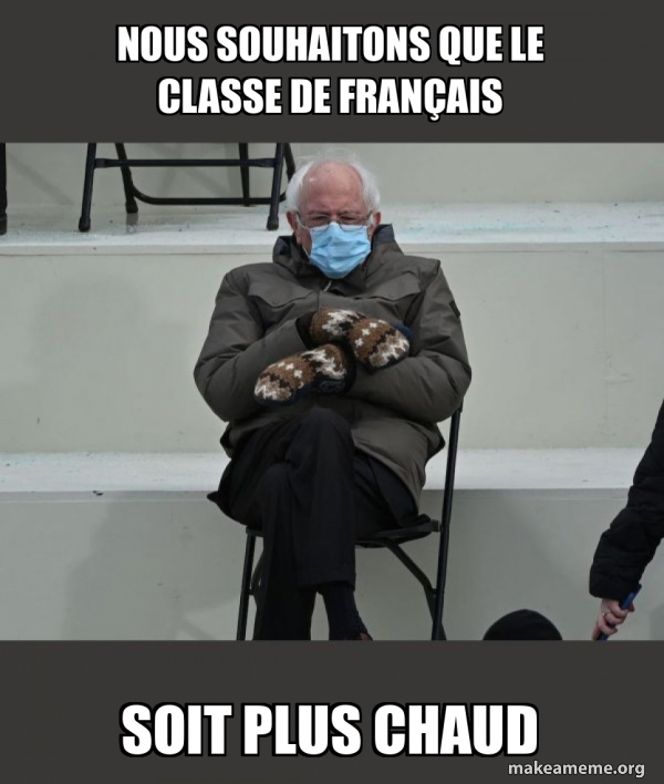 Bernie Sanders at the Inauguration meme