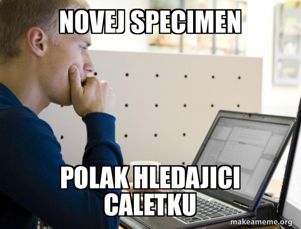 Polak Memes polak-memes