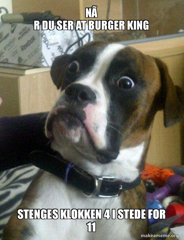 Skeptical Dog meme