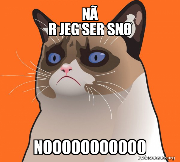 Cartoon Grumpy Cat meme