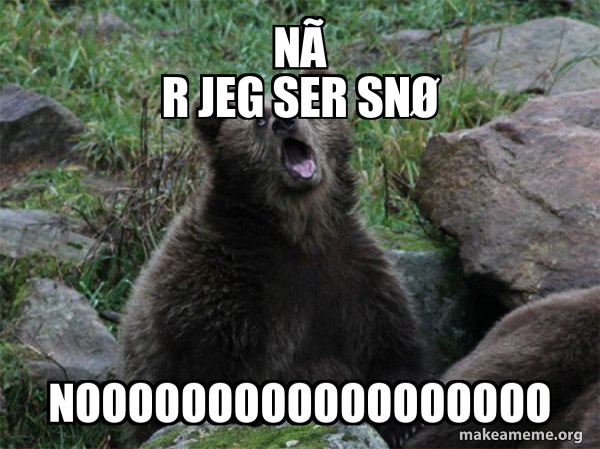 Sarcastic Bear meme