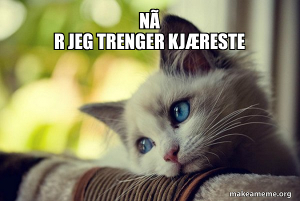 First World Cat Problems meme