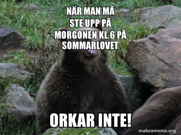 Sarcastic Bear meme
